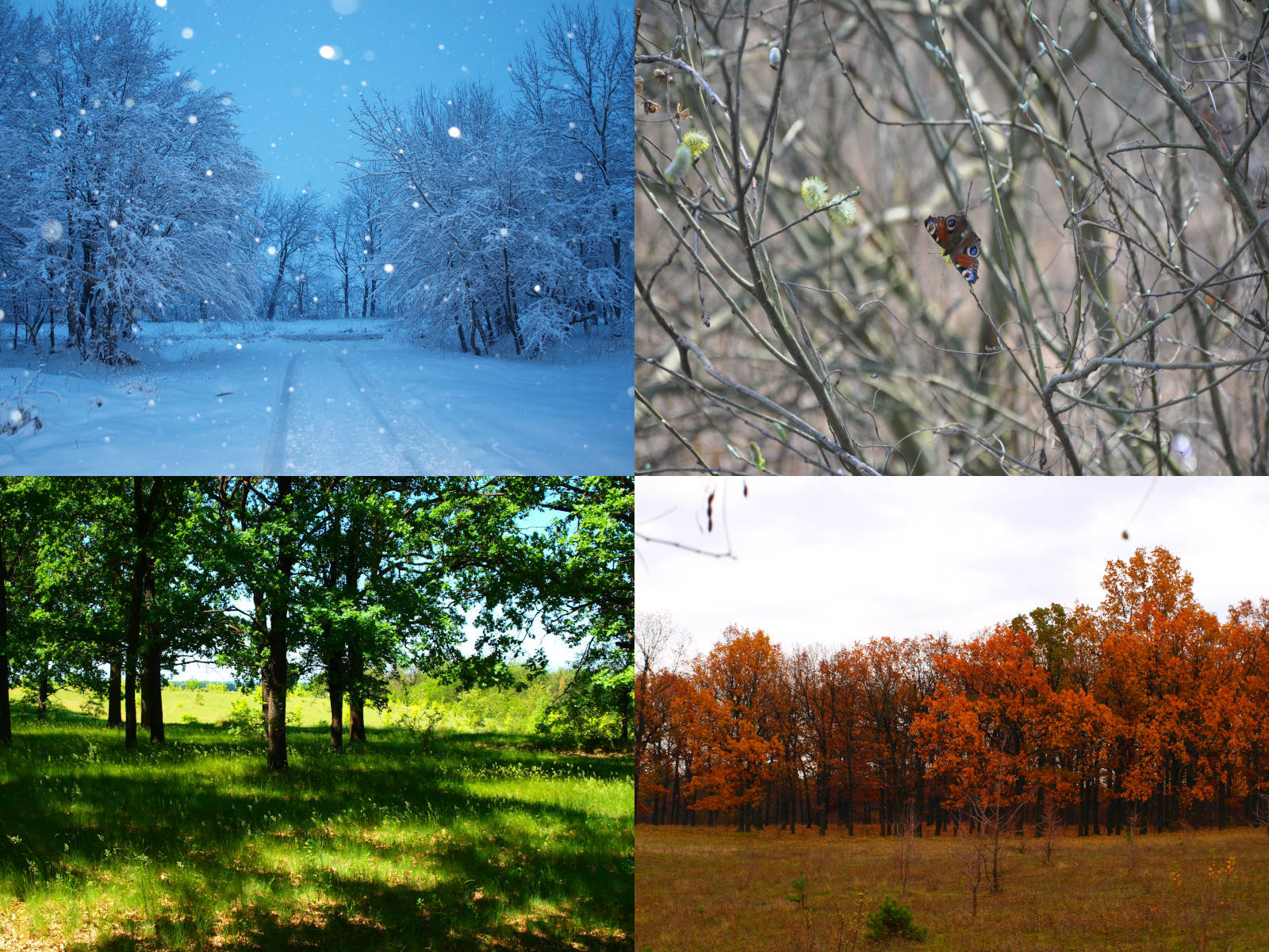 Season For Tourist. The Best Time To Travel - World Typology