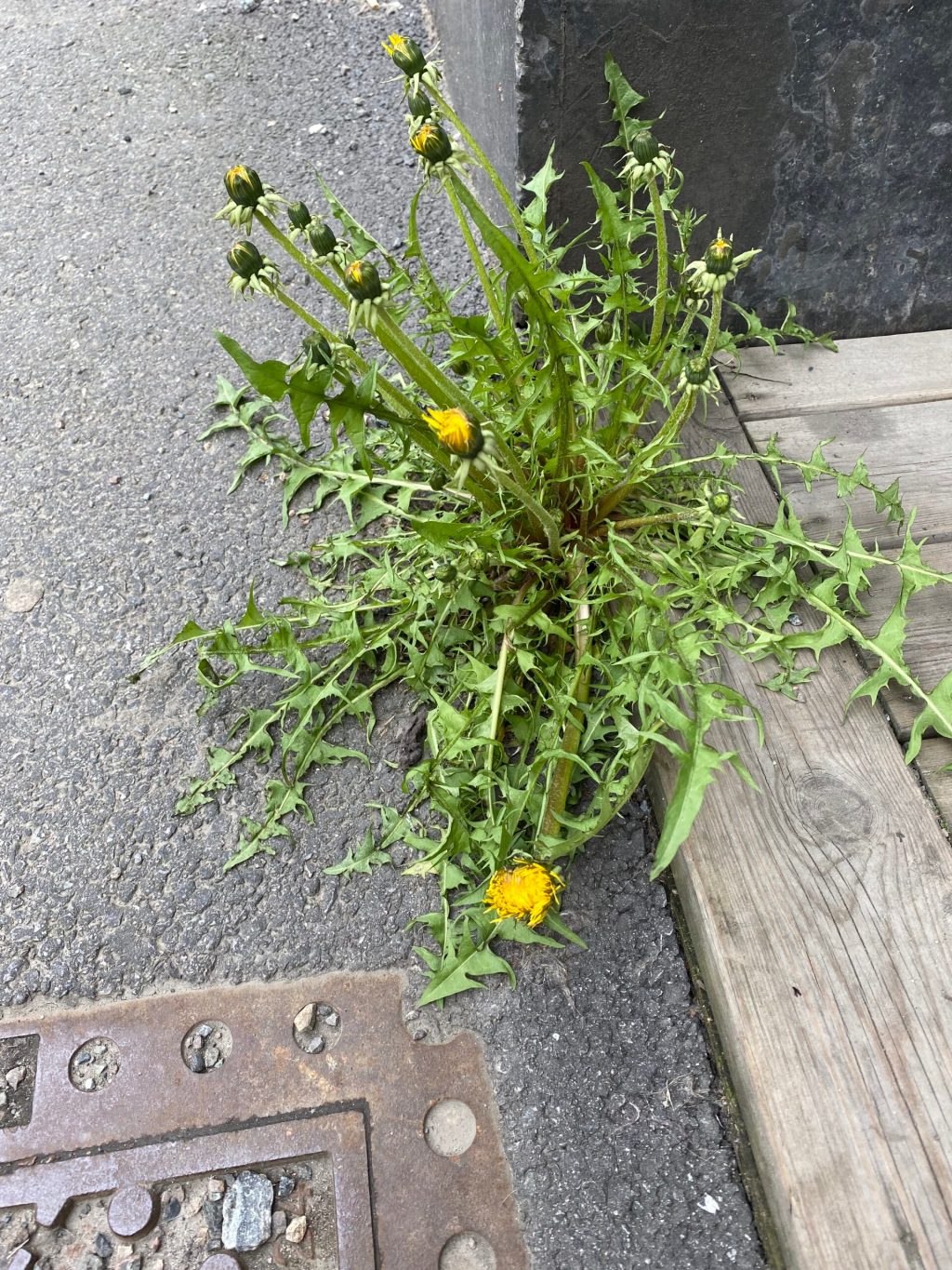 Proverbs that will describe your personality and character - Typology