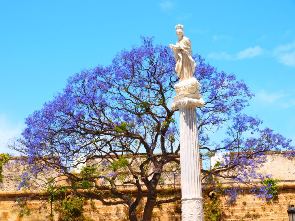 Tree Energy And Choosing The Best Tree For You - World Typology