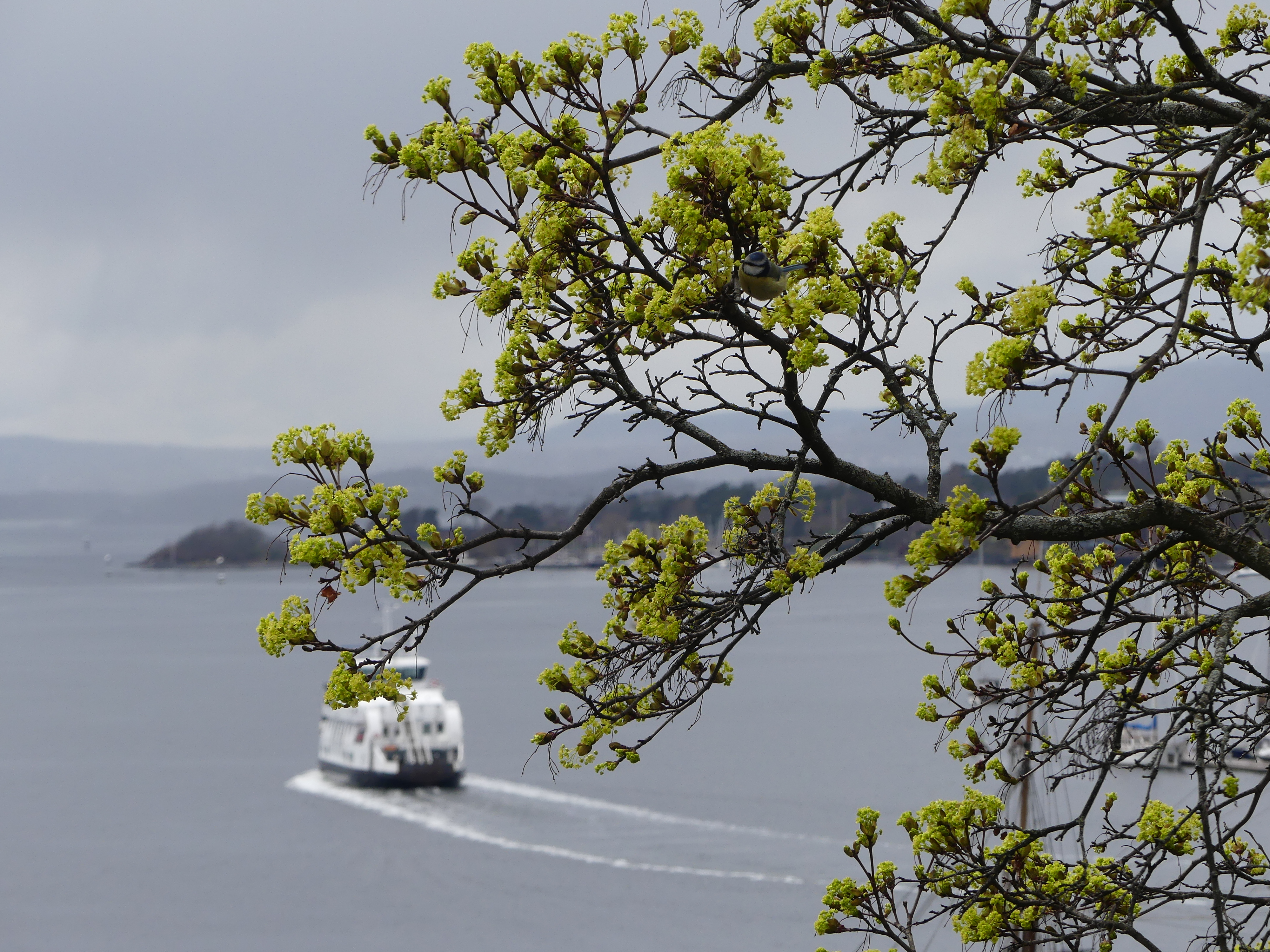 World Typology website