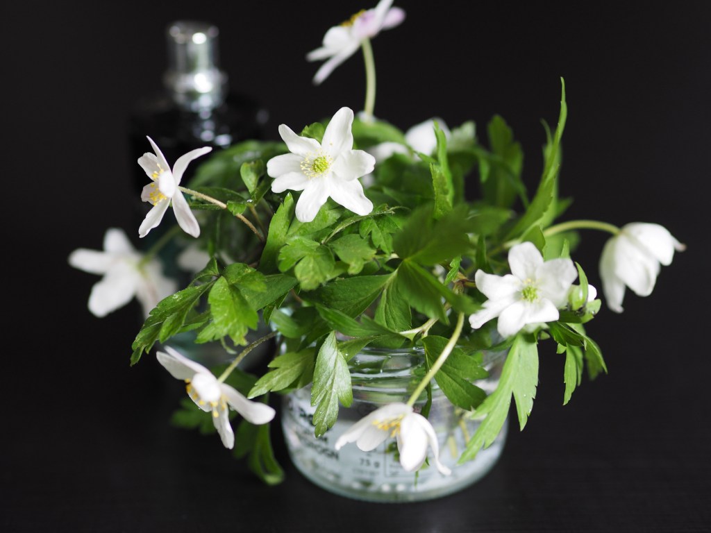 List of Perfumes For The Patron Innate Group