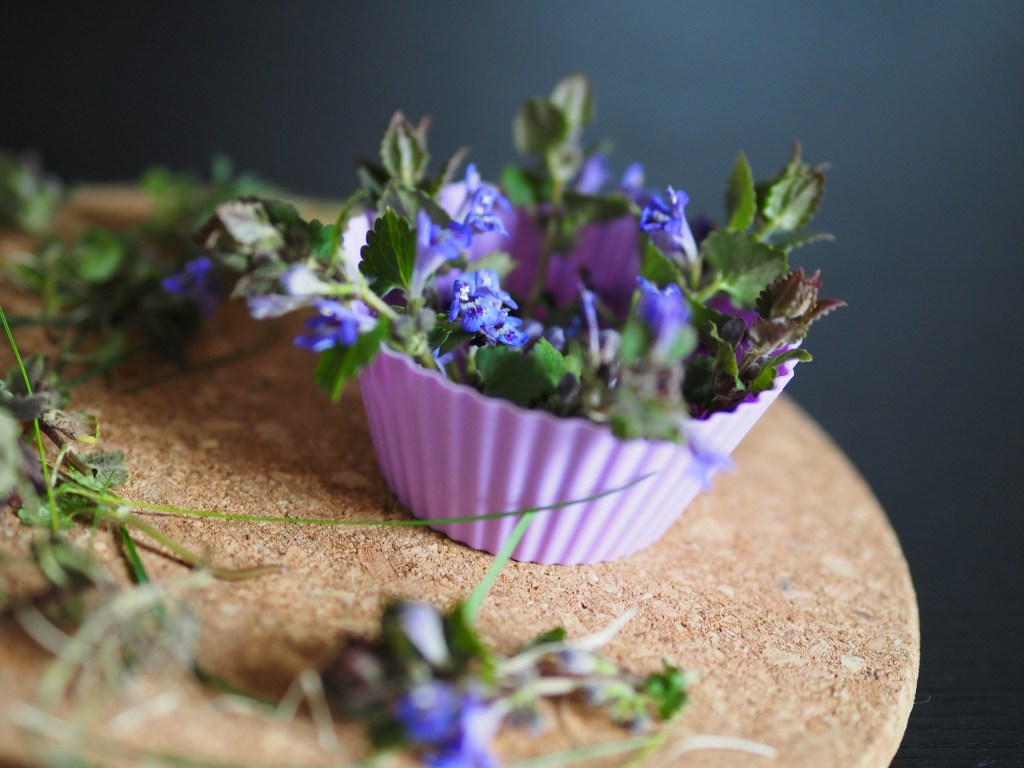 List of Perfumes For The Innate Group Ethnos