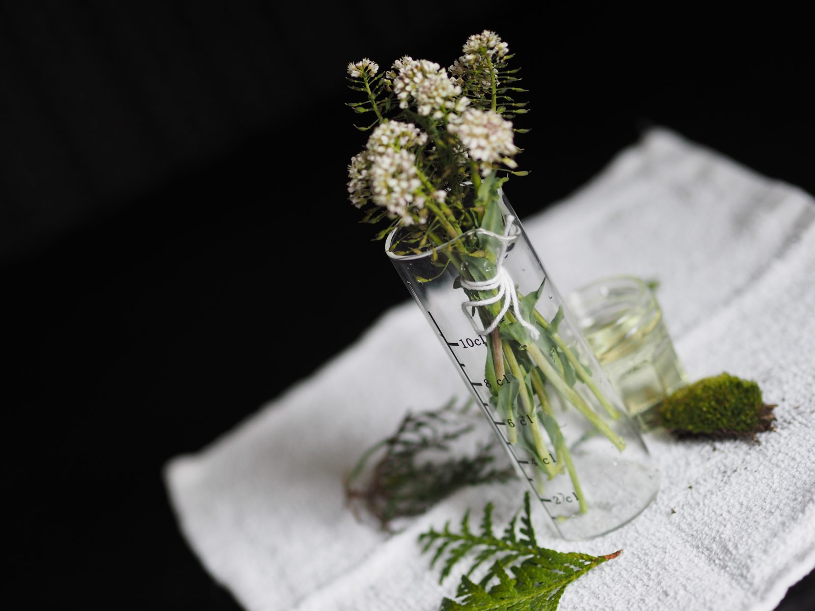 A New Classification of Perfumes for Different Groups and Types